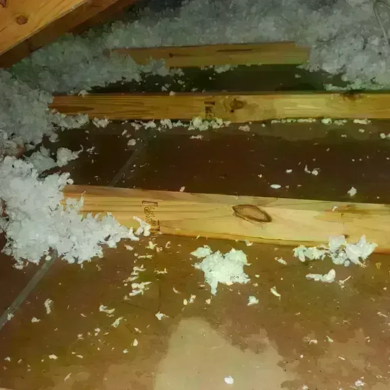 Best Attic Water Damage Service in Uintah County, UT